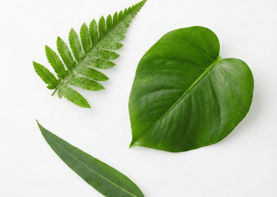 Selfcare is important for everyone